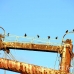 booby_wreck_sil_h_00839_dom2951.jpg